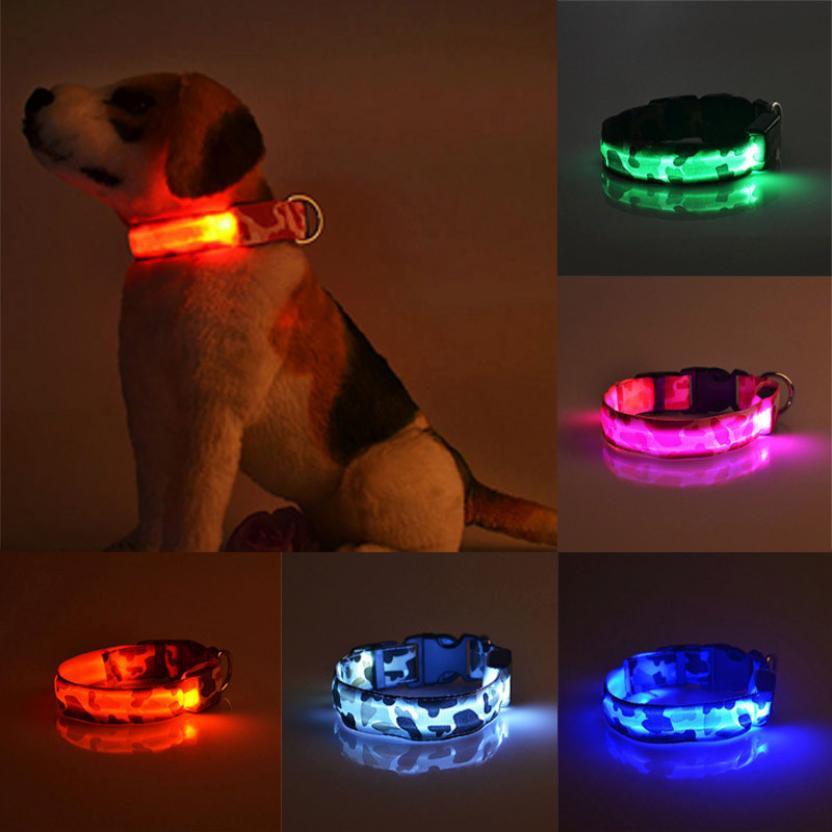 Collar de perro luminoso