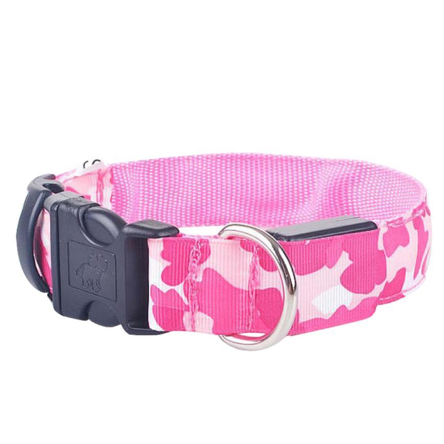 Collar de perro luminoso