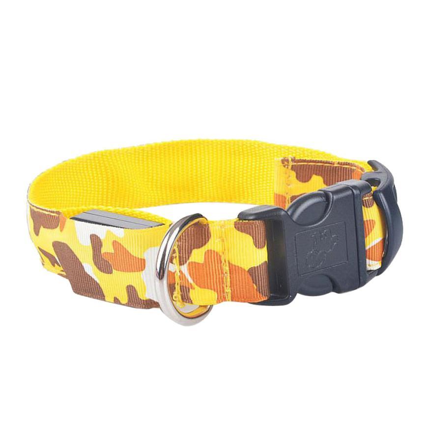 Collar de perro luminoso