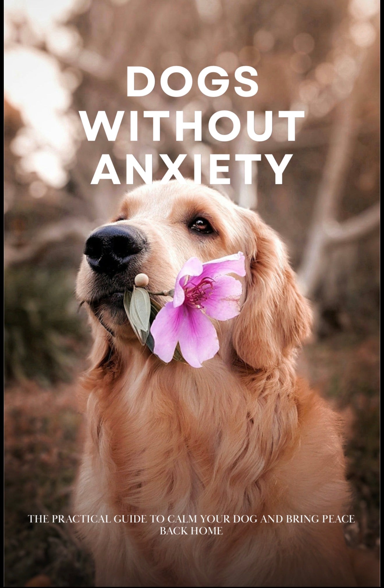 Ebook Dogs Without Anxiety