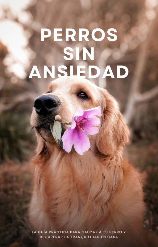 EBOOK SOBRE LA ANSIEDAD DE TU PERRO